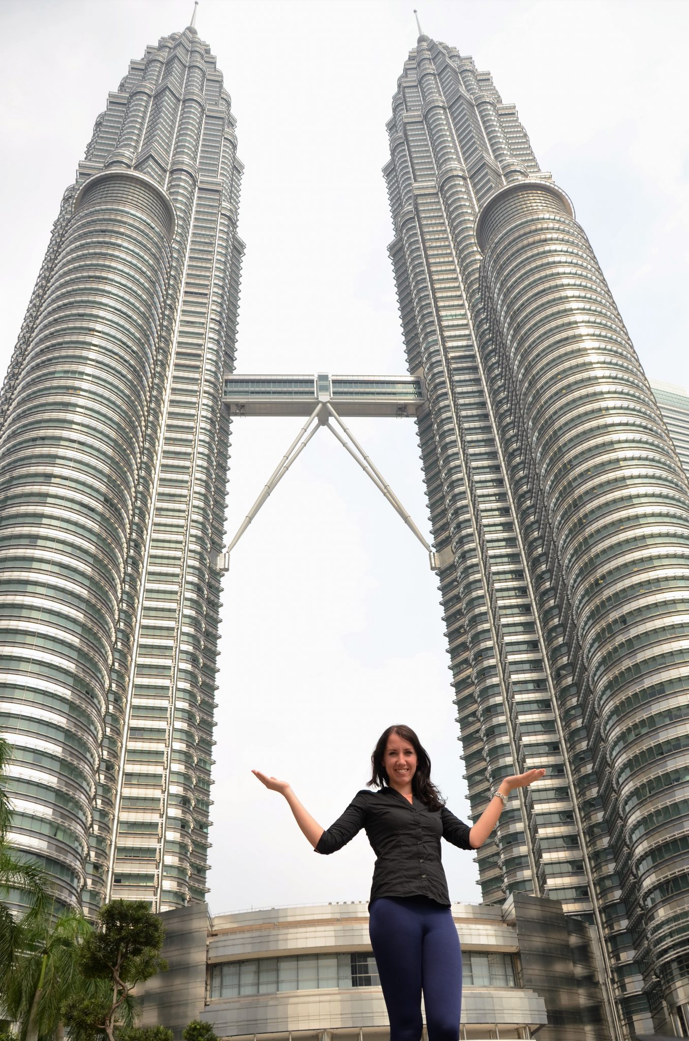 Petronas Towers